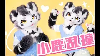 撞进你心里！！！！小老虎的❤小鹿乱撞❤【银碳】#furry