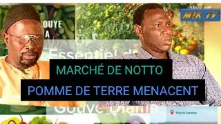 LES BANA BANA GAGNE 90% SUR LES AGRICULTEURS DE NOTTO GOUYE DIAMA