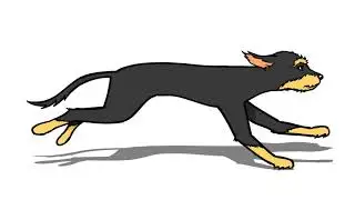 dog running (side) - minduina