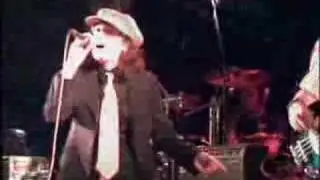 Antistamina - Alta Moda (live)