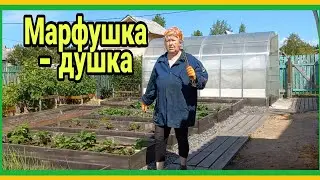 25/6 23 УБИЛАСЬ В ТЕПЛИЦЕ. БЕЗ ШТАНОВ. СВЁКЛУ НЕ УГОЩАЕМ. ИСКУССТВО В ГРОБУ. ПЕРЕСАДКА КАБАЧКОВ.