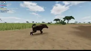 silly hyena trotting while crawling!
