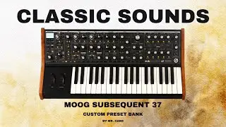 Moog Subsequent 37 – Classic Sounds [SOUNDSET] | Custom Presets [Synthesizer Demo]