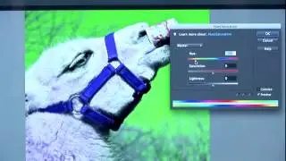 FOTO TV VID #5 - FOTOTips Elements