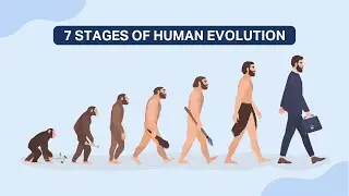 15 Bible Verses About Evolution