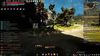 BDO | Сезонный сервер | Хашашин