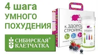 Программа «4 шага здоровой стройности»