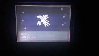 Evolution Arcko En Massko Pokemon Emeraude GBA