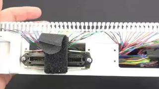 Pre-Wired 66 Block with 2 Female Amphenol Connectors