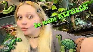 Vlog: we went to the reptile store! *& crystal content*