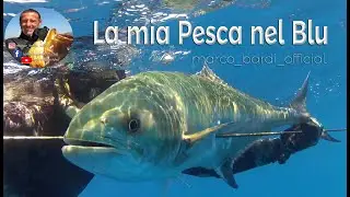 Pesca sub nel blu
