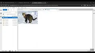 Getting Started with the Vertex AI Gemini API with cURL