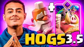 ROYAL HOGS ARE BACK