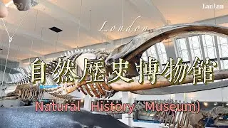 探索自然歷史博物館的奇觀：穿越時間和自然的旅程