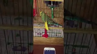Степан зевает и теперь ему не скучно