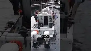 Попытка перевернуть лодку