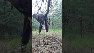 В перерывах между химиями