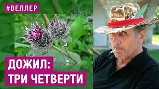 ДОЖИЛ - ТРИ ЧЕТВЕРТИ: КАК  ДОБРАЛСЯ? - 