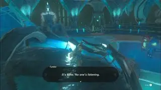 Caught listening to secret [TOTK spoilers]