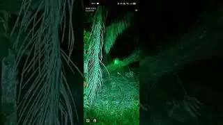 panas kan badan di dalam kebun sawit yeayyy part 1