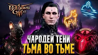 DO YOU LIKE DOGS? SHADOW WIZARD - Baldur's Gate 3 Build