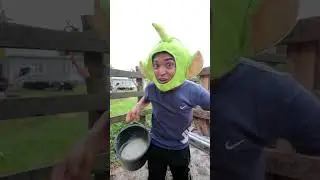 ORDEÑANDO UNA VACA