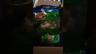 Морской гребешок