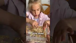 Make a bird feeder with us🤭🧻🕊️ #kidsactivities #homeschooling #shorts #mom