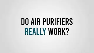 Do Air Purifiers Really Work? | Sylvane