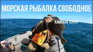 Сахалинская рыбалка камбала терпуг окунь