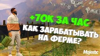 КАК ЗАРАБОТАТЬ НА ВЫРАЩИВАНИИ ЧАЯ 70К ЗА ЧАС- ЛУЧШИЙ ЗАРАБОТОК ГТА 5 MAJESTIC RP GTA 5 RP