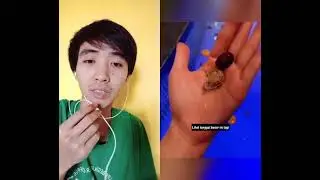 Jenis jenis neraka di dunia