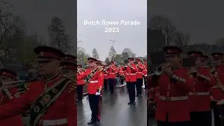 This is for you if you missed to visit world’s largest flower parade, watch till end!🌺 