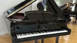 Steinway Piano Gallery - Washington DC Featured Pianos