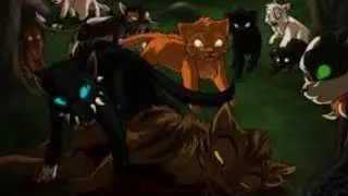 Бич убийца