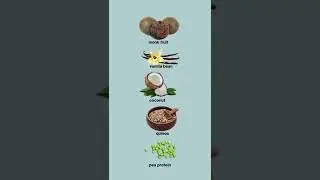 Organifi Complete Protein in Vanilla benefit includes