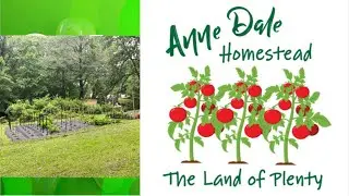 First Full Garden Tour #annedalehomestead #TheLandofPlenty #northcarolina