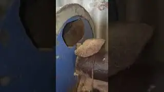 Барабанная сушка продам сушилка з бочок для опилок, щепи, песка сипучих