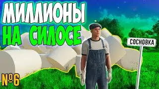 БОЛЬШИЕ ДЕНЬГИ НА ФЕРМЕ / СОСНОВКА/ Farming Simulator 22
