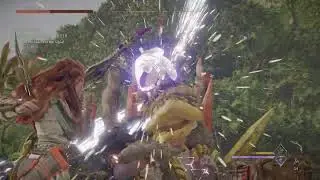 Okay What Horizon Forbidden West Burning Shores