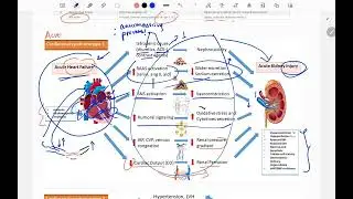 Penyakit Gagal Jantung dan Gagal Ginjal (Cardiorenal Syndrome) - Patofisiologi dan Obat