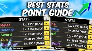 The BEST STATS POINTS Build Guide In Blox Fruits!