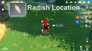 Radish Location - Genshin Impact