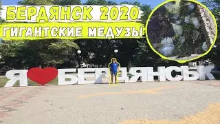 Бердянск 2020 / Гигантские медузы / Отдых в Бердянске 2020