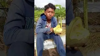 Rakus bener 🤣🤣🤣 #shorts