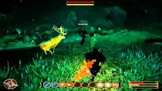 Gothic 3 Forsaken Gods Dark Mage