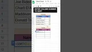 How to use the SORT function in Google Sheets! 👻 
