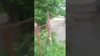 Поток в Киргизия