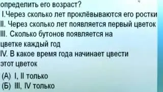 русская литература 11кл.Чтение и понимание