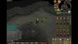 Runescape Fun